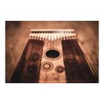 Meinl マイネル Sonic Energy カリンバ Soundhole Kalimba メイプル/アカシア KL1706H