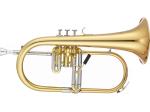XO エックスオー 1646GB フリューゲルホルン ラッカー ゴールド ゴールドブラス 管楽器 B♭ Flugelhorn gold　北海道 沖縄 離島不可