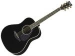 YAMAHA ヤマハ LL16D BL  アコースティックギター Black