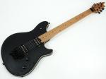 EVH イーブイエイチ Limited Edition Wolfgang Special Sassafras