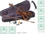 CarloGiordano カルロジョルダーノ EV-202 NAT ナチュラルブラウン エレクトリック バイオリン 4/4 Silenzia サイレント 楽器 セット E 　北海道 沖縄 離島 代引き 同梱不可