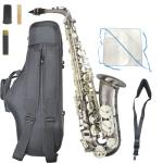 Chateau シャトー CAS-HNS/BS アルトサックス ブラックニッケルメッキ ニッケルシルバー HANDMADE SERIES Alto Saxophone　北海道 沖縄 離島不可