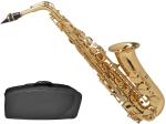 Henri Selmer Paris セルマー Axos アクソス アルトサックス ゴールドラッカー E♭ alto saxophone gold 管楽器 本体　北海道 沖縄 離島不可