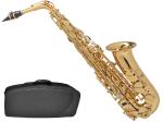 Henri Selmer Paris セルマー Axos GP-Tone アクソス GPトーン アルトサックス ネック 金メッキ ゴールドラッカー E♭ alto saxophone gold 管楽器 北海道 沖縄 離島不可