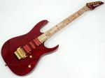 Ibanez アイバニーズ JCRGT01  【 j.custom SPOT Model】