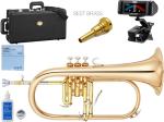 YAMAHA ( ヤマハ ) YFH-8315G フリューゲルホルン ラッカー ゴールド ゴールドブラス カスタム B♭ Flugelhorn custom gold セット E　北海道 沖縄 離島不可