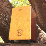 Pearl パール 即納可能 Mini Cajon Trinos PMC-TRS カホン
