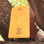 Pearl ( パール ) Mini Cajon Trinos PMC-TRS カホン