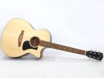 EASTMAN イーストマン PCH3-GACE CLA アコースティックギター エレアコ