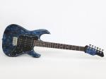 James Tyler Japan Studio Elite HD Mamywo/Rosewood Black Shmear w/Royal Blue Tint