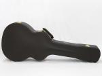 Taylor テイラー DLX Hardshell Case/GA