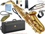 YAMAHA ヤマハ YAS-82Z アルトサックス カスタムZ Alto saxophone gold Custam Z 管楽器 Gottsu セピアトーン ジャズメタル セット K　北海道 沖縄 離島不可