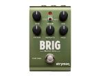 strymon ( ストライモン ) BRIG