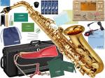 YAMAHA ヤマハ YAS-480 アルトサックス ラッカー ゴールド 管楽器 Alto saxophone gold TDM-700DMK ミッキー セット K　北海道 沖縄 離島不可