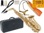 Antigua  アンティグア AS2800 エルドン アルトサックス アウトレット ラッカー ゴールド 管楽器 eldon GL Alto saxophone セット J　北海道 沖縄 離島不可
