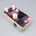 Old Blood Noise Endeavors BL-44 Reverse / Variable Clock Reverser リバース 逆再生エフェクト