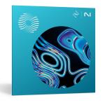 iZotope Ozone 11 Standard マスタリング 日本正規品  DAW DTM