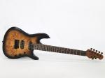 Sterling by Musicman Richardson7 / Natural Poplar Burl Burst