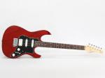 FgN フジゲン Expert EOS-ASH-R DR(Dark Red)