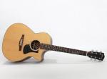 EASTMAN イーストマン PCH2-GACE Thermo-Cure Natural アコースティックギター 