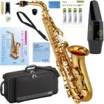 YAMAHA ヤマハ 5年保証サービス対象 YAS-480 アルトサックス ラッカー ゴールド 管楽器 セットT　以下対応不可 北海道 沖縄 離島 代引き
