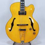 Ibanez アイバニーズ PM2-AA