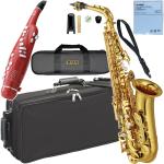 YAMAHA ( ヤマハ ) YAS-62 アルトサックス ラッカー 日本製 管楽器 Alto saxophone gold 電子サックス Elesa セット U　北海道 沖縄 離島不可