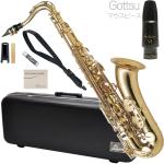 Antigua  ( アンティグア ) TS3108 テナーサックス スタンダード ラッカー Tenor saxophone Standard GL gold Gottsuセピアトーン VI セット G　北海道 沖縄 離島不可