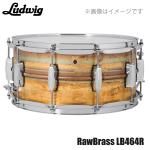 LUDWIG ( ラディック ) LB464R [ Raw Brass Phonic 14"×6.5" ]