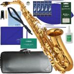 YAMAHA ヤマハ 5年保証サポート対象 YAS-875EX アルトサックス カスタム ラッカー ゴールド Custam EX セットM　以下対応不可 北海道 沖縄 離島 代引き