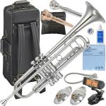 YAMAHA ヤマハ YTR-8335GS トランペット 銀メッキ ゼノ ゴールドブラス カスタム Xeno B♭ Trumpets custom セット F　北海道 沖縄 離島不可
