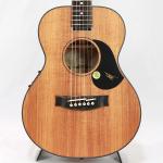 Maton Guitars メイトンギターズ EMBW6