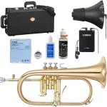 YAMAHA ( ヤマハ ) YFH-8315G フリューゲルホルン ラッカー ゴールドブラス カスタム B♭ Flugelhorn custom gold SB6X セット G　北海道 沖縄 離島不可