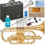 YAMAHA ヤマハ YCR-4330GII コルネット ラッカー ゴールドブラス ショート 管楽器 B♭ YCR-4330G-2 Cornet GOLD セット E　北海道 沖縄 離島不可