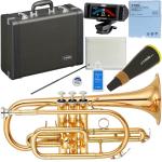 YAMAHA ヤマハ YCR-4330GII コルネット ラッカー ゴールドブラス ショート 管楽器 B♭ YCR-4330G-2 Cornet GOLD セット F　北海道 沖縄 離島不可