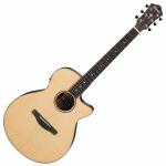 Ibanez アイバニーズ AEG200 LGS 特価品 アウトレット  エレアコ アコースティックギター 