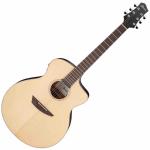 Ibanez アイバニーズ PA300E NSL エレアコ アコースティックギター 