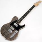 SCHECTER シェクター PT-24-CTM-VTR / BKNTL / E
