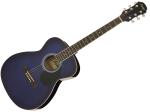 Legend レジェンド FG-15 BLS  アウトレット アコースティックギター 初心者 入門におすすめ