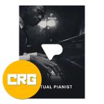 UJAM ユージャム Virtual Pianist Bundle クロスグレード グランドピアノ エレピ プラグイン ピアノ音源 バンドル DTM DAW