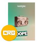 UJAM ユージャム Beatmaker DOPE クロスグレード ビートメイク音源 ヒップホップ プラグイン DTM DAW