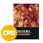 UJAM ユージャム USynth CARAMEL クロスグレード シンセ音源 プラグイン DTM DAW