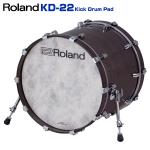 Roland ローランド KD-22-GE