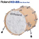 Roland ローランド KD-22-GN