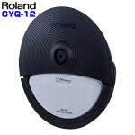 Roland ローランド 納期未定 CYQ-12　Cymbal Pad
