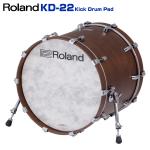 Roland ローランド KD-22-SW