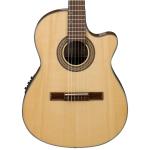 Ibanez アイバニーズ GA30TCE NT