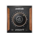 WAVES ウェイブス OneKnob Pressure プラグインエフェクト DAW DTM