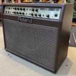 Roland ローランド AC-100 Acoustic Chorus