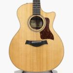 Taylor テイラー 414ce Studio Special Edition